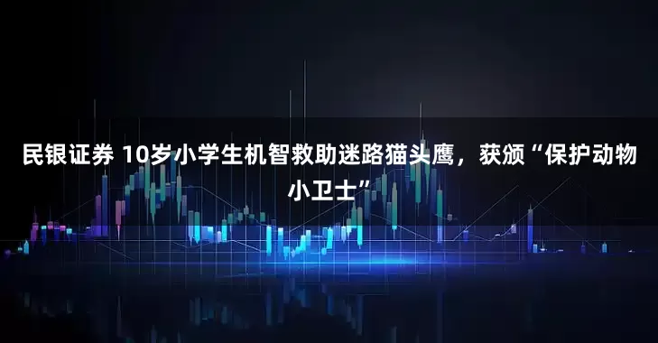 民银证券 10岁小学生机智救助迷路猫头鹰，获颁“保护动物小卫士”