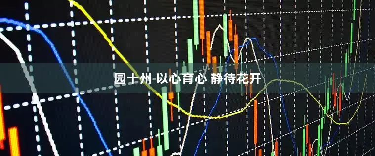 园十州 以心育心 静待花开