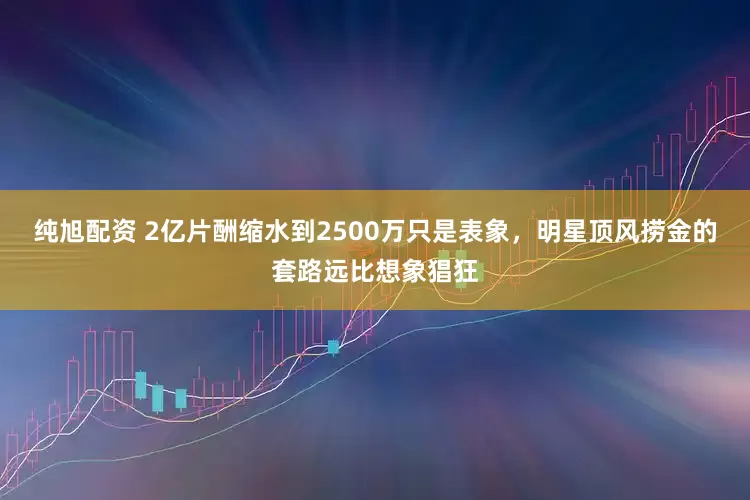 纯旭配资 2亿片酬缩水到2500万只是表象，明星顶风捞金的套路远比想象猖狂